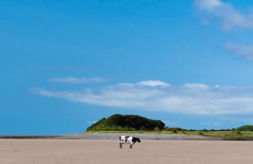 River View Cottages - Foto 35