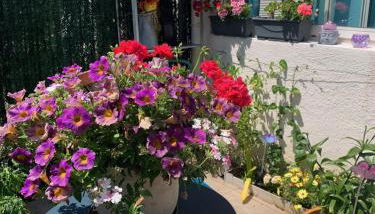 Cœur de sousto - Foto 4