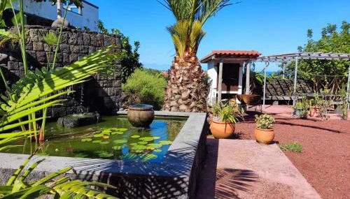 A Fonte - Photo 3, Garden