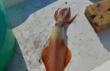 Homey Family ArtAki - Foto 44