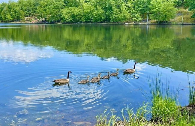 4 BD Stylish Cottage W Private Pool & hot-tub by RedAwning - Foto 31