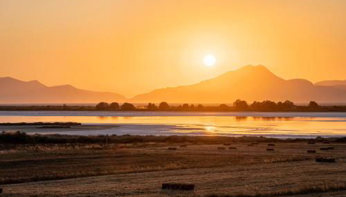 Oasis Apartments - Foto 2