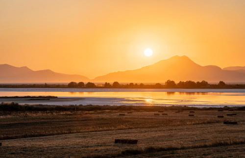 Oasis Apartments - Foto 2