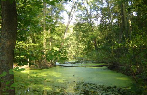 Dom przy Rezerwacie - Foto 32