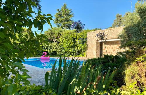 Luxury home Paraiso with pool and gym - Foto 6