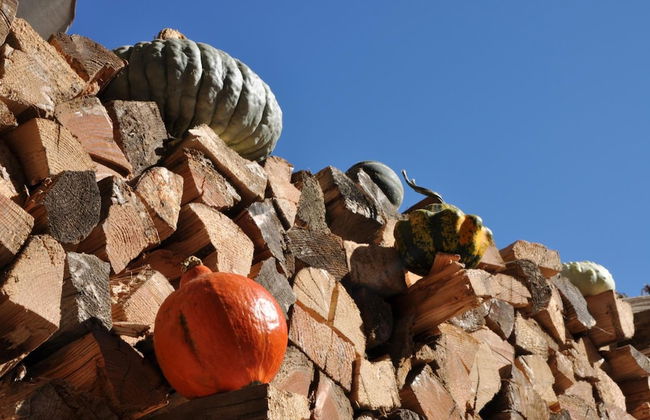 Agriturismo Bortolotti - Photo 71