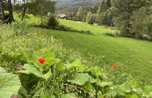 Apartamenty Carpe Diem - Photo 56