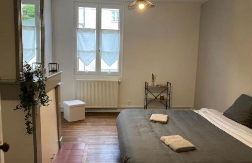 Le logis des diligences - Vue sur le château - Foto 6