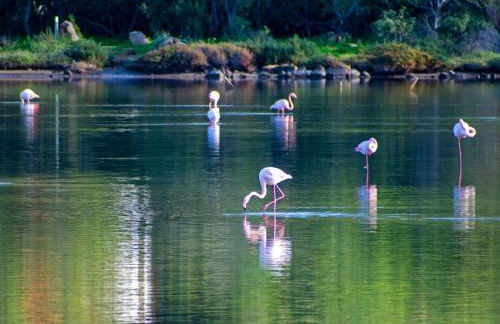 Dependance Pavoncella - Foto 43