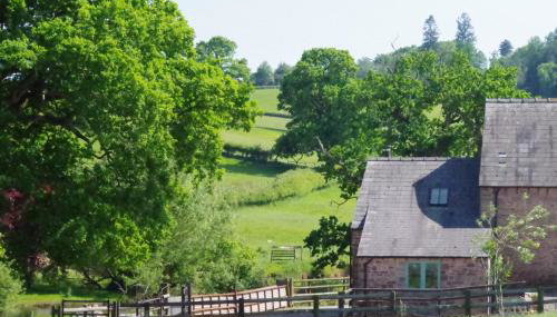 Oaklands Cottage on a rural farm - Foto 5