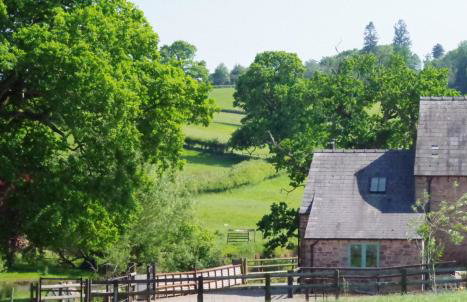 Oaklands Cottage on a rural farm - Foto 5