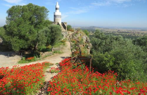 Pisco Charming House - Alter Pedroso - Foto 21