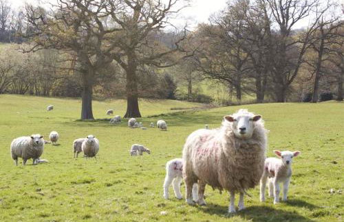 Frame Farm - Sleeps 20 in 1-6 Weaver's Cottages & The Byre barn - Foto 51