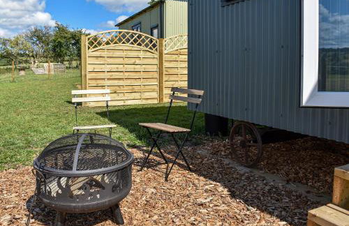 Forget-Me-Not - Uk37646 - Foto 11