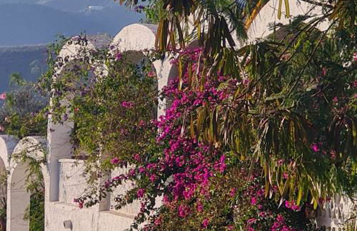 Casa Jazmin - Foto 13