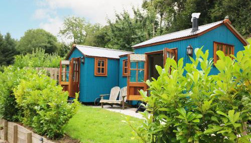 Little Silver Pheasant - Foto 2