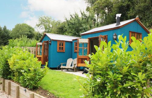 Little Silver Pheasant - Foto 2