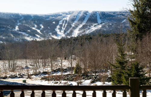 Black Bear Cabin - Foto 13