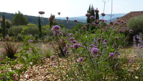 Maison Itzé - Photo 4