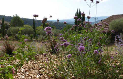 Maison Itzé - Foto 4