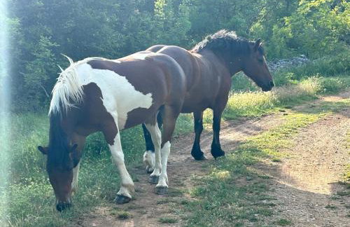 Villa Luna - Foto 70