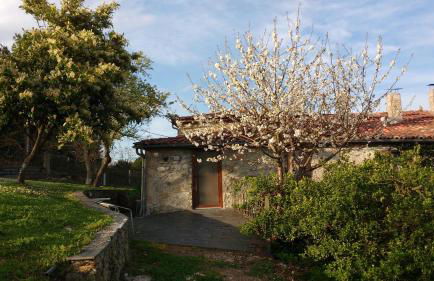 Casa dos Muros turismo rural y actividades en la Ribeira Sacra - Foto 27