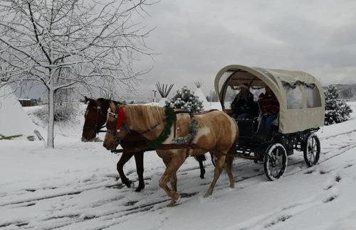 Evergreen house Plitvice - Foto 49