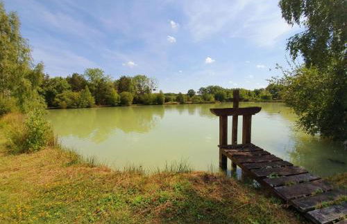 Gîte rustique à Cheverny: nature, tennis, animaux bienvenus, pêche et châteaux de la Loire à proximité - FR-1-491-366 - Foto 15