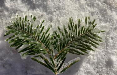 Gîte du Hibou - jolie dépendance sur verger - Foto 23