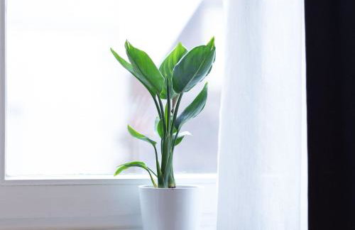 Apartment Apartment 54 by Interhome - Photo 16