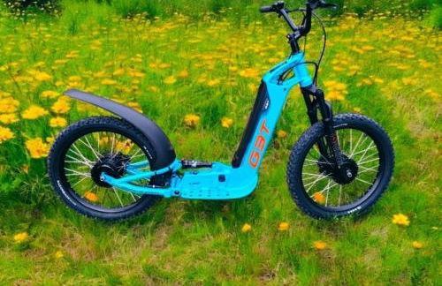 Les gites de Pétrocoriis - Boulazac Périgueux - Foto 46