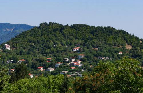 ARBOR Ktistades hosting - Foto 26