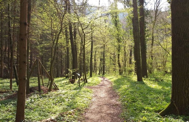 Emerald - Holiday Home for - Foto 31