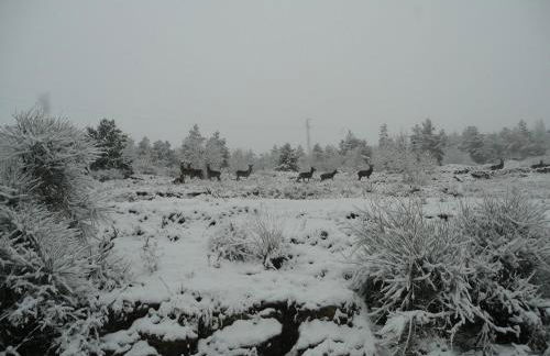 Casa Vacanza Abruzzo - Photo 15