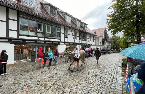 Bergblick-Lounge zentral in Immenstadt - Foto 15