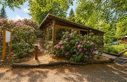 Großes Ferienhaus Bucheneck für Gruppen, Familien & Firmen 7 Schlafzimmer 3 Bäder große Terrasse nahe Rhododendronpark - Photo 23
