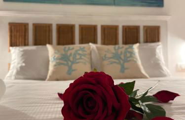 Luxury Poetto Apartments - Foto 23