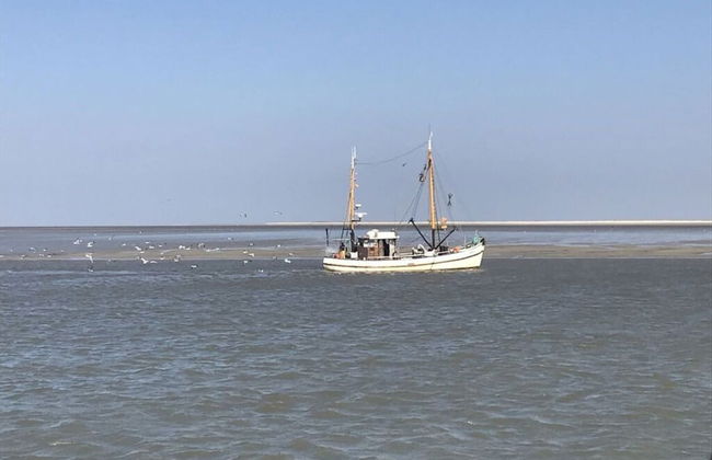 Graft View by the sea - Foto 16