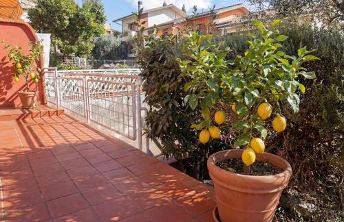 Casa Il Melograno - Relax vicino Terme Grotta Giusti - Foto 22