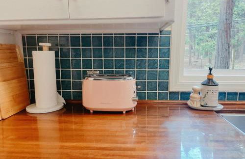 70s Retro Retreat Nevada City - Foto 23