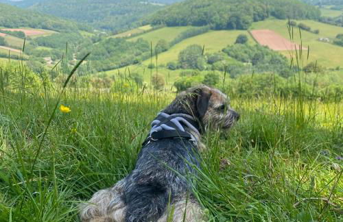 Palm House - Luxury Wye Valley Country House 2 Bed Apartment - Dog Friendly - Foto 31