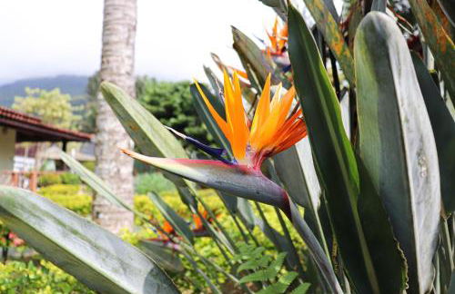 Casa de temporada Refugio das Aguias - Foto 26