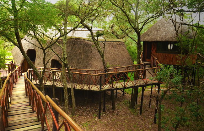 Pezulu Tree House Lodge - Foto 28