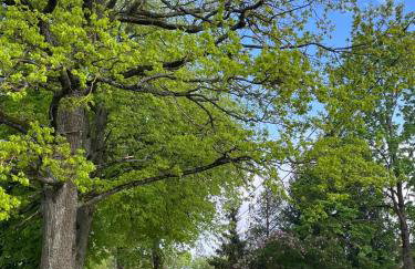 Dom Między Jeziorami - Foto 24