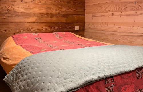 Appart 8 pers ac Jacuzzi portes du soleil La Chapelle-Chatel - Photo 10