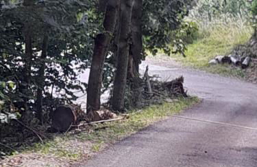 Baita Martin da Fist - Foto 59