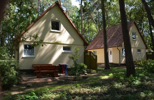 Ferienpark Retgendorf - Foto 6
