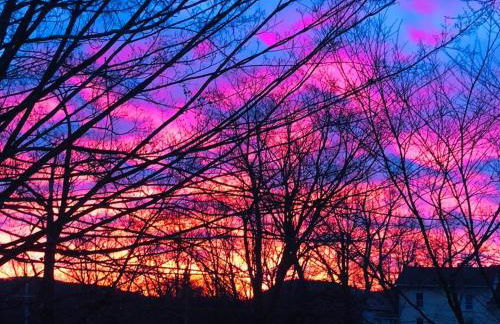 Church Bells - Photo 31