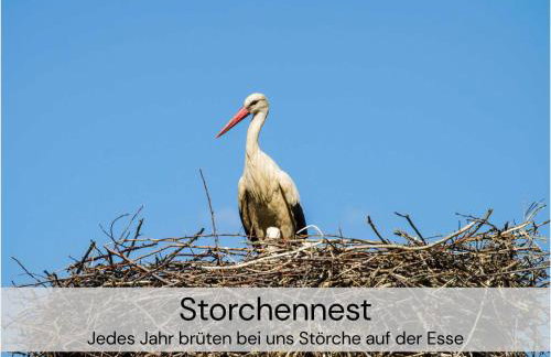 TinyHousebeiDresden mit Faßsauna unser größtes winziges Häuschen für bis zu 7 Personen, Kaminofen, große Terrasse - Nähe Sächsische Schweiz - Von Juni - September Mindestmietzeit 1 Woche Sa-Sa - Foto 36