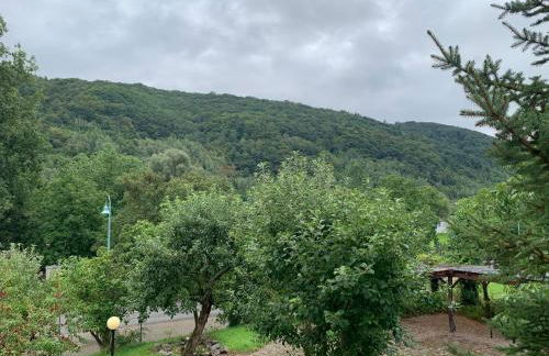 Moselina Ferienwohnungen - Foto 16